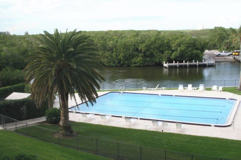 View from dining area - gorgeous pool for swimming laps.