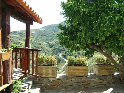 Standard House, Mountain View | Terrace/patio