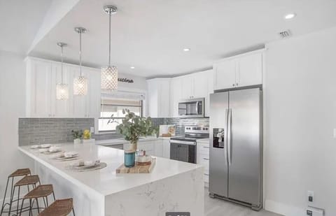 Sleek Chef-Inspired Kitchen