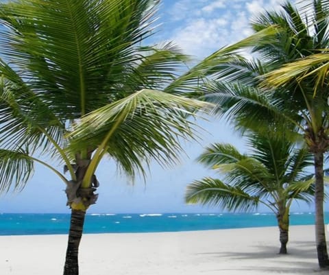 FREE ACCESS TO VIVA WYNDHAM BEACH