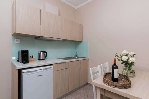 Fully equipped kitchenette