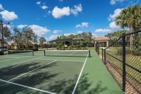 Community Pickleball Court