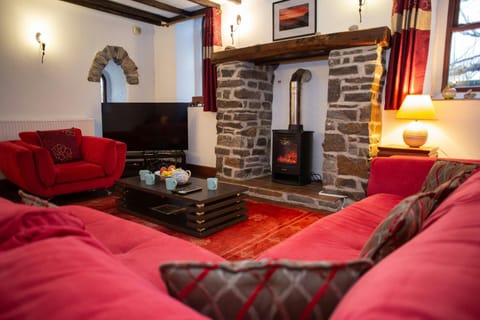 Living room with red sofas, stone fireplace, wood-burning stove, and a television in the corner