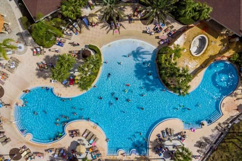 Stunning aerial views of the resort-style pool and scenic lake backdrop