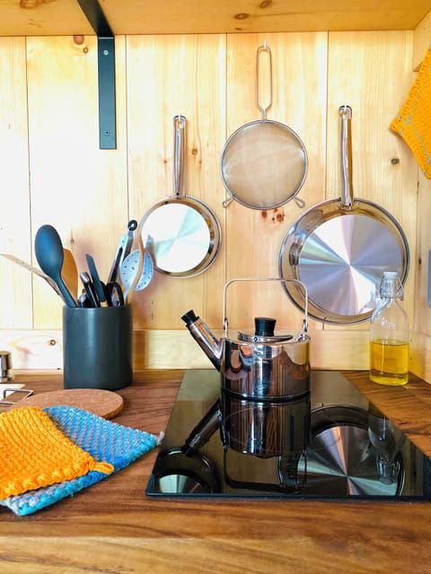 Utensils, pots, pans, potholders.  The teapot boils water quickly on induction.