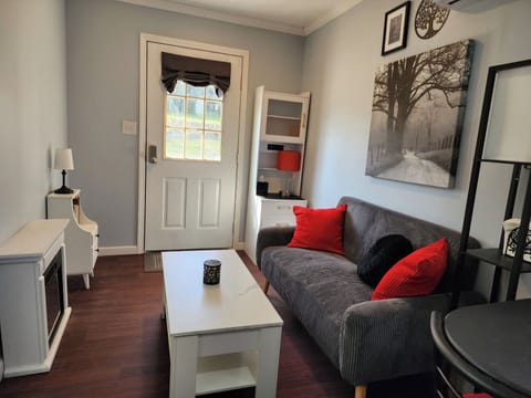 The living area with an electric fireplace