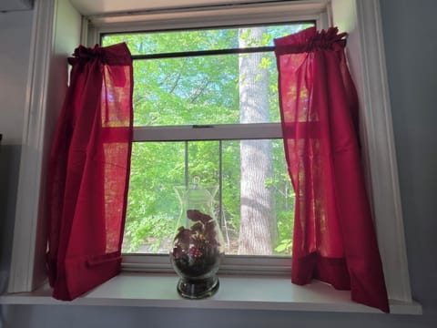 The kitchen window opens to the east.