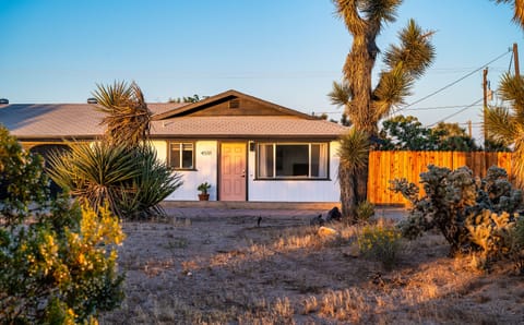 Serene desert escape surrounded by Joshua Trees