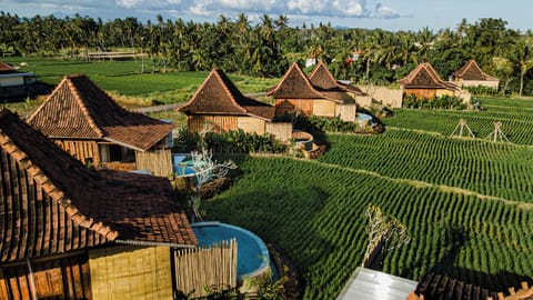 One Bedroom Wooden Pool Villa | 1 bedroom, minibar, desk, free WiFi