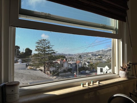 Stunning view from kitchen window