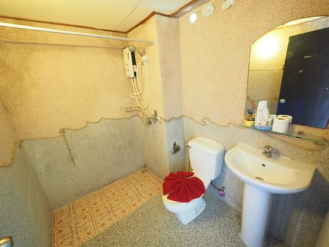 Superior Air-con | Bathroom | Shower, free toiletries