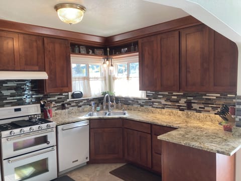 Gas stove and oven, dishwasher, and fridge.