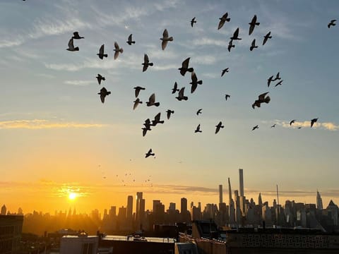 Complete New York City view from private desk area.