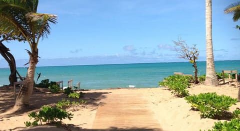 The beach!!!