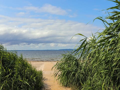 House | Beach