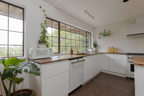 Kitchen sink and full sized dishwasher