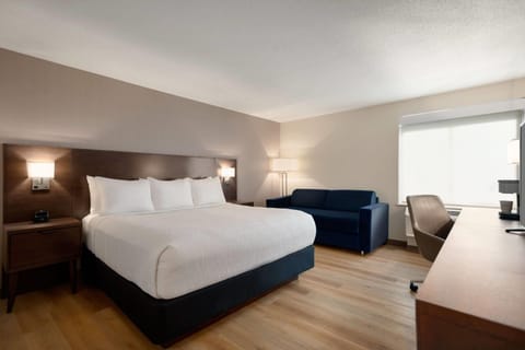 Room, 1 King Bed, Accessible, Non Smoking (Grab Bars, Mountain View) | Premium bedding, pillowtop beds, in-room safe, desk