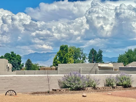Sandia Mountain View from Backyard. Sky filled w/ Balloons during Fiesta.