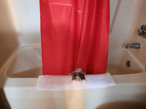 Deep soaking bathtub