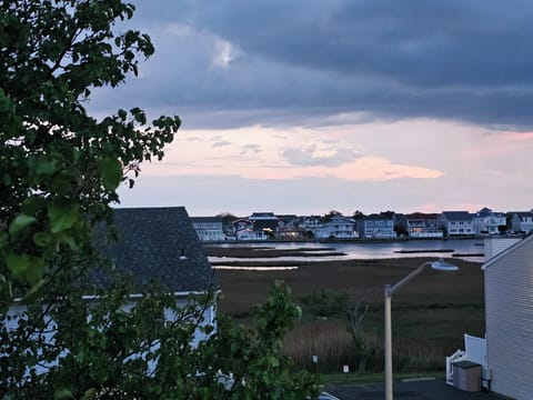 View from balcony at dusk showing wetlands across from condo.