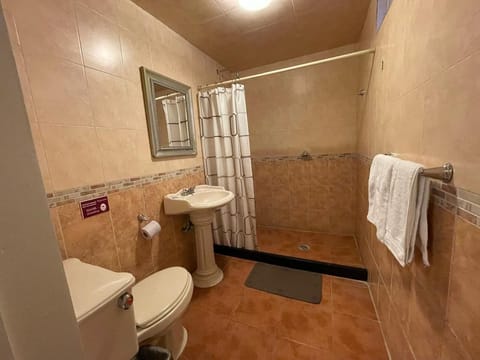 Family Double Room | Bathroom | Shower, towels, soap, shampoo