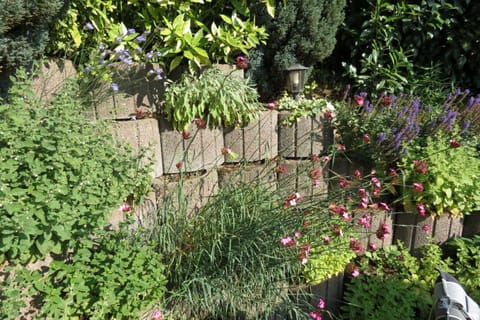 Holiday Home Facilities and Services