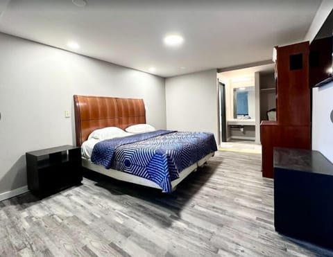 Comfort Single Room, Courtyard View | Desk, laptop workspace, free WiFi