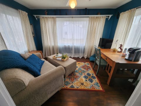 Beautiful Sunroom/Hide-a-bed