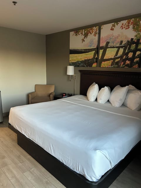 Desk, laptop workspace, blackout drapes, iron/ironing board