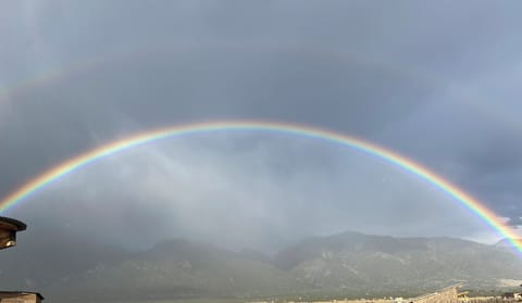 After an afternoon shower.