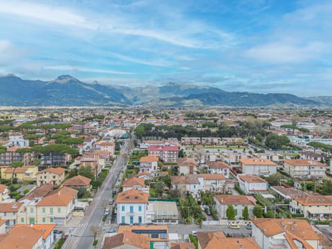 Daytime, Urban Area, Residential Area, City, Horizon, Town, Neighbourhood, Landscape, Hill, Metropolitan Area