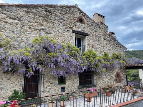 The facade of Mas Pallares with our window above the wisteria