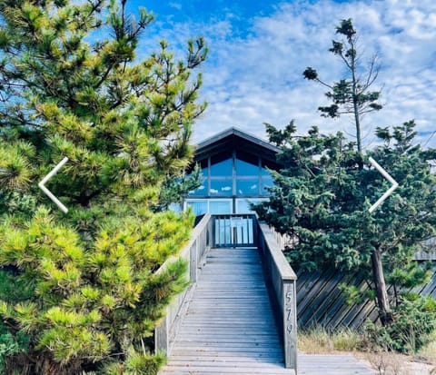 Living up to its name - the PINES