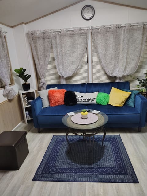 living room with pull out couch 