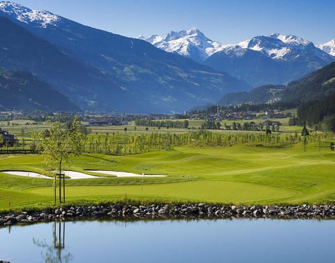 Apartment | Golf