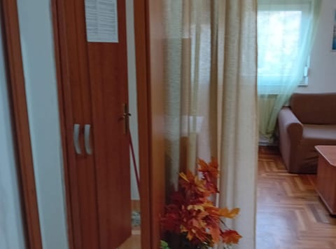 Studio (Apartments Petrova) | Living room | 32-inch flat-screen TV with cable channels