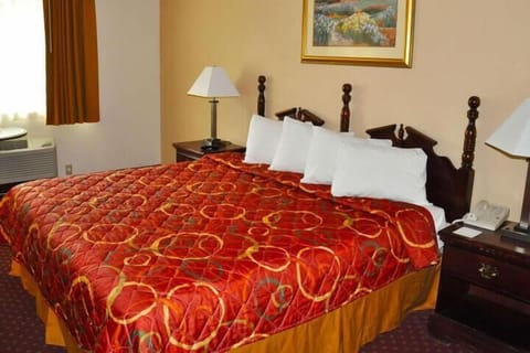 Room, 1 King Bed | Free WiFi