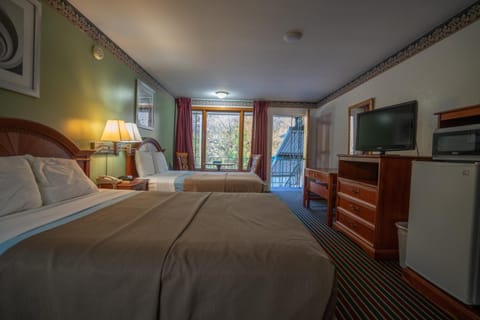 Iron/ironing board, free cribs/infant beds, rollaway beds, free WiFi