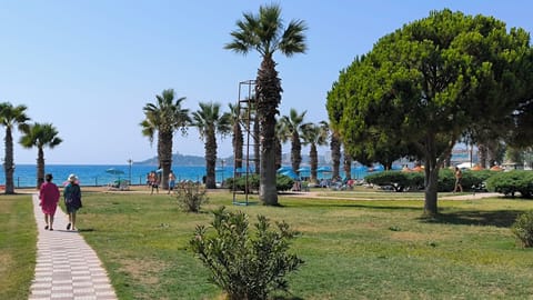 On the beach, sun loungers, beach umbrellas, 3 beach bars