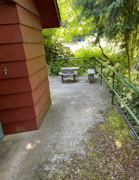 Outdoor huge deck with fire pit. (please be quiet, neighbors:-)