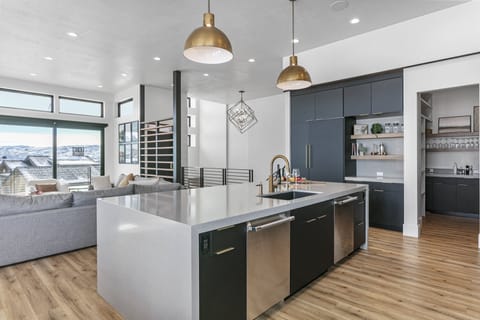 Indoors, Kitchen, Sink, Kitchen Island, Couch