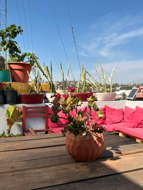 Rooftop terrace