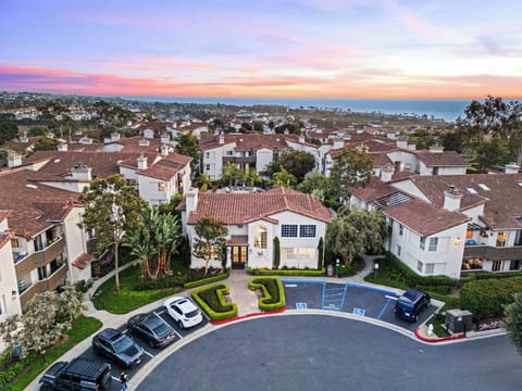 Aerial view of the community.
