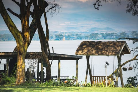 Lake view