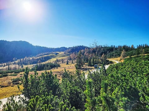 Wood, Landscape, Land Lot, Rural Area, Slope, Plank, Fell, Lumber, Log Cabin, Hut