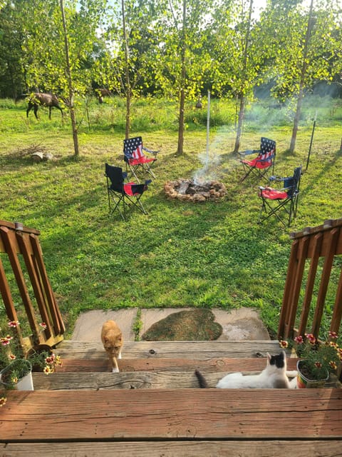 Must love cats! : )