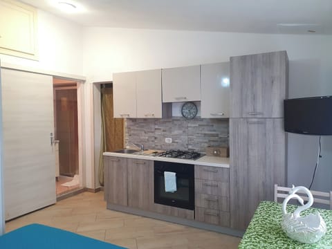 Standard Studio, Patio, Partial Sea View | Private kitchen | Cleaning supplies