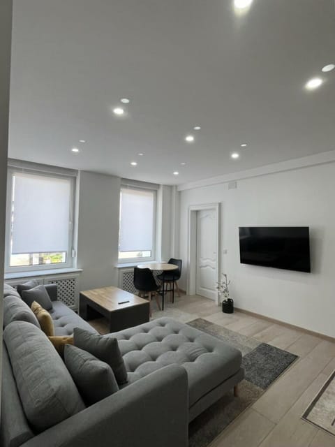 Standard Apartment | Living area | TV