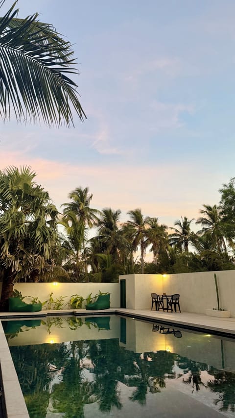 Outdoor pool, sun loungers