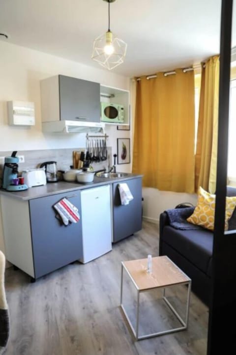 Superior Studio Suite, 1 Double Bed with Sofa bed, Non Smoking, Kitchen | Private kitchen | Stovetop, toaster, blender, eco-friendly cleaning products